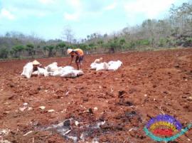 Persiapan Petani dalam Menyongsong Musim Penghujan