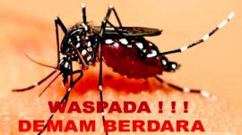 Waspadai Penyakit Demam Berdarah Dengue ( DBD) 