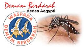 Waspada Demam Berdarah (DBD)